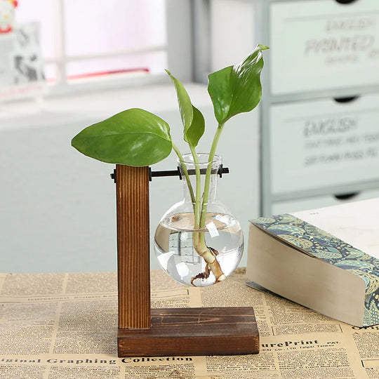 Elegant Terrarium Hydroponic Vase with Wooden Stand