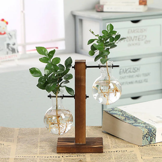 Elegant Terrarium Hydroponic Vase with Wooden Stand