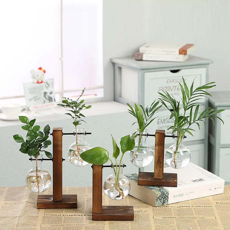 Elegant Terrarium Hydroponic Vase with Wooden Stand