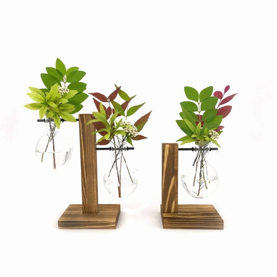 Elegant Terrarium Hydroponic Vase with Wooden Stand